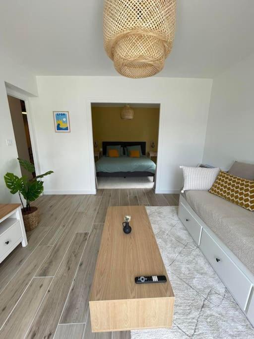 Appartement Proche Stade/Eurexpo Десин-Шарпьё Экстерьер фото