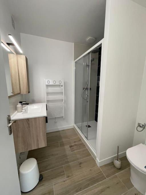Appartement Proche Stade/Eurexpo Десин-Шарпьё Экстерьер фото